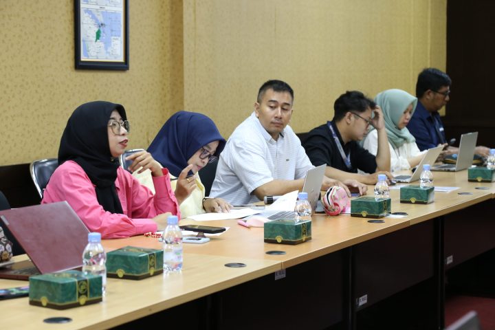 tim pemeriksa BPK RI